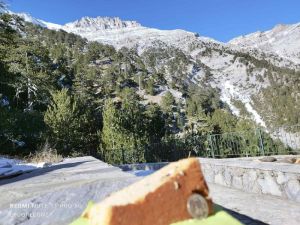 Oρειβάτες έκοψαν την βασιλόπιτα του 2023 στον χιονισμένο Όλυμπο