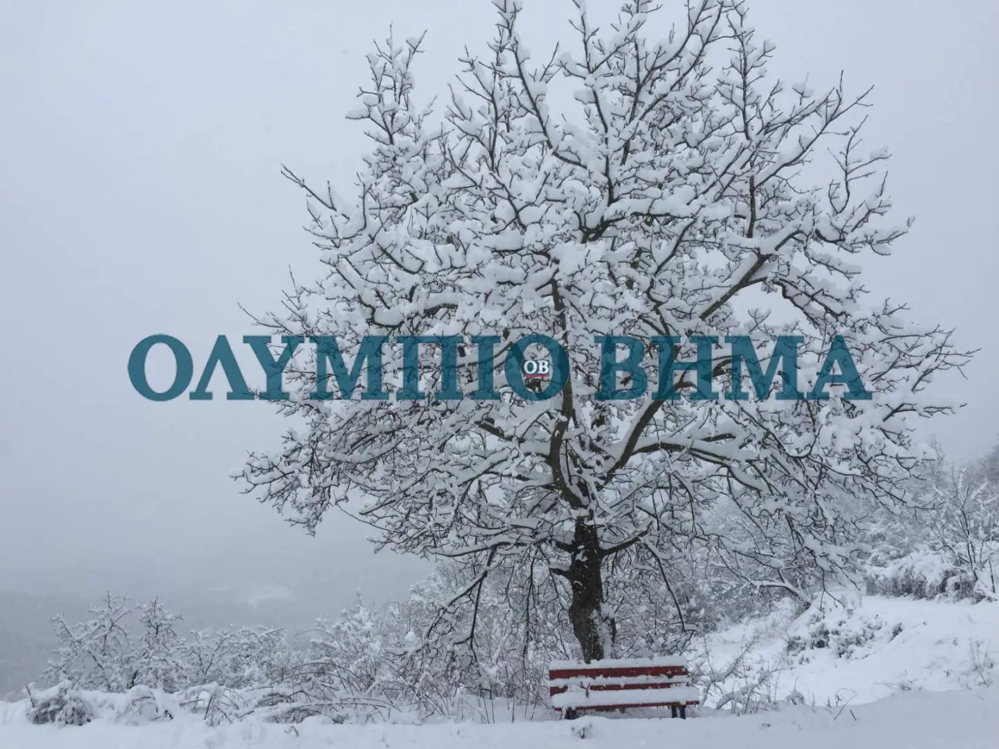 Έτοιμο το Χιονοδρομικό  Ελατοχωρίου