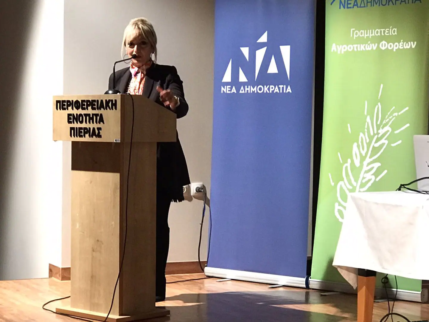 Ημερίδα για τα πεπραγμένα στον πρωτογενή τομέα της ελληνικής γεωργίας την περίοδο 2019 - 2023 Καρίτσα – Ημερίδα για τα πεπραγμένα στον πρωτογενή τομέα της ελληνικής γεωργίας την περίοδο 2019 – 2023