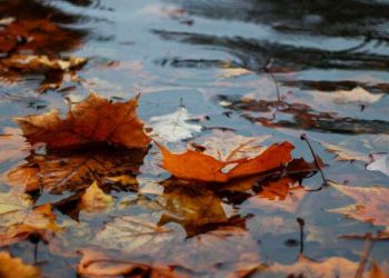 Ο Καιρός σήμερα: Νεφώσεις παροδικά αυξημένες με τοπικές βροχές από το απόγευμα Ο Καιρός σήμερα: Νεφώσεις παροδικά αυξημένες με τοπικές βροχές από το απόγευμα