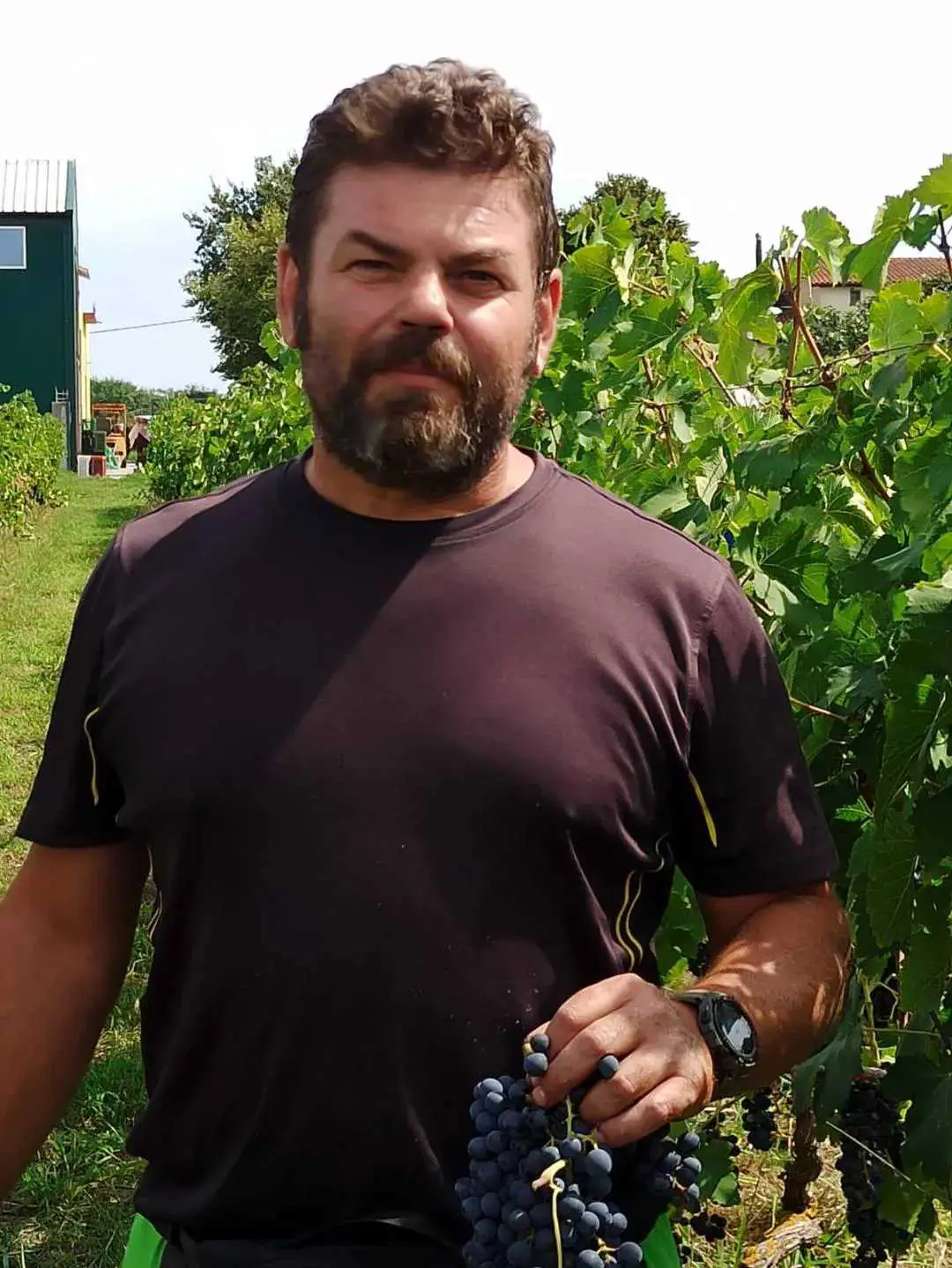 Πιερία: Το Κλίμα, τα Οινοποιεία, οι Ποικιλίες, οι Ετικέτες