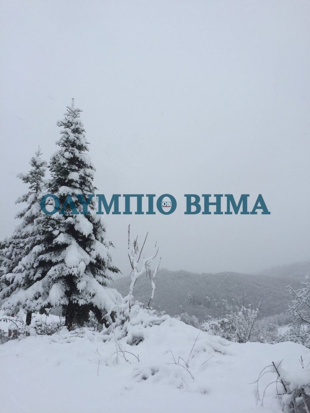 Χιόνι στο Ελατοχώρι – Το πρώτο χιόνι του φετινού χειμώνα