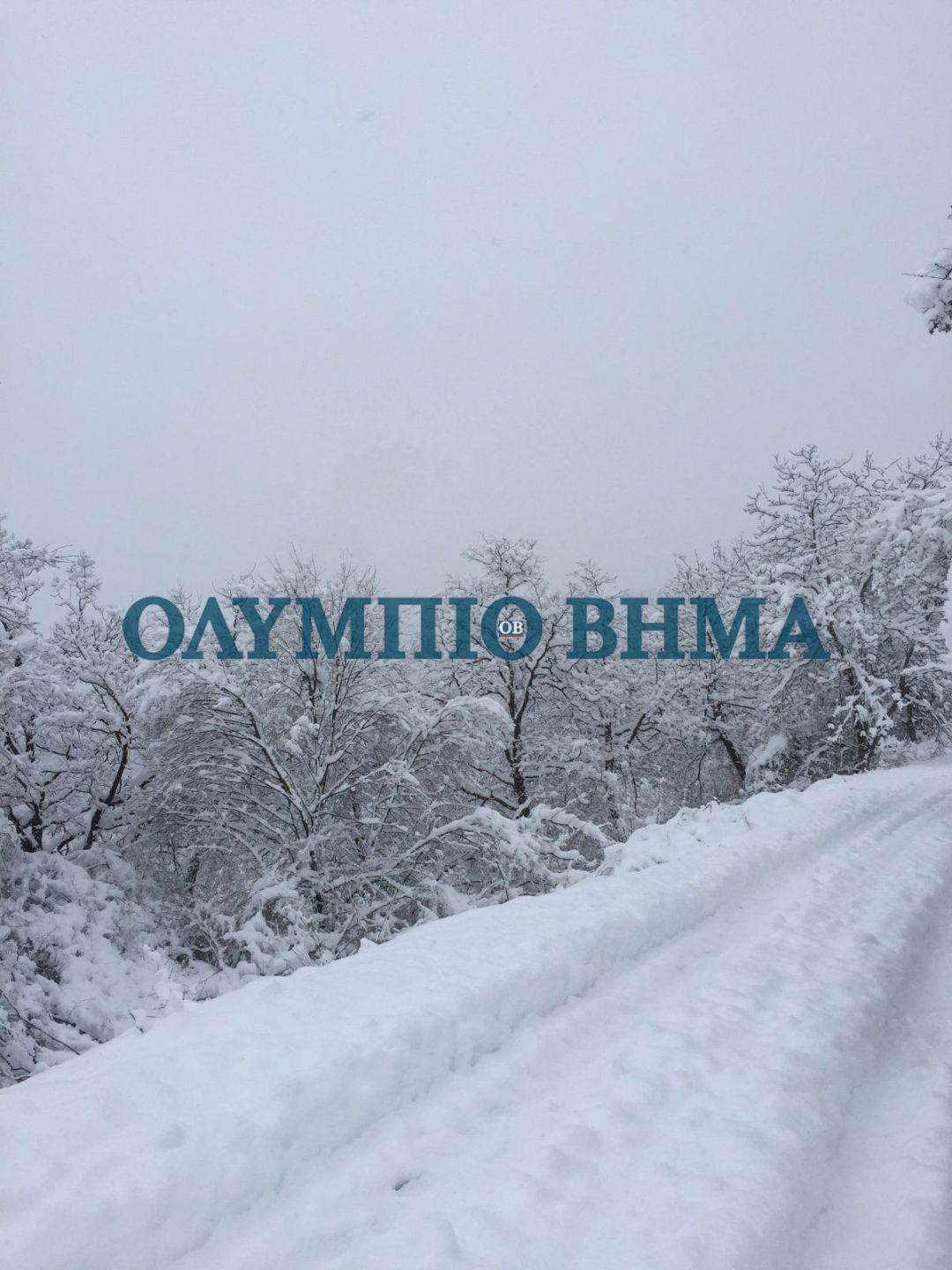 Χιόνι στο Ελατοχώρι – Το πρώτο χιόνι του φετινού χειμώνα