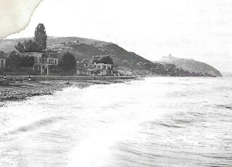 Ανάπτυξη της Αλιείας και του Τουρισμού. Η περίπτωση της Γαρίδας Πλαταμώνα Ανάπτυξη της Αλιείας και του Τουρισμού. Η περίπτωση της Γαρίδας Πλαταμώνα