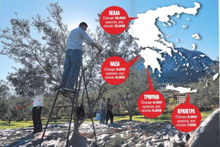 Βόμβα στη γεωργία – Ξέμειναν από εργάτες τα ελληνικά χωράφια