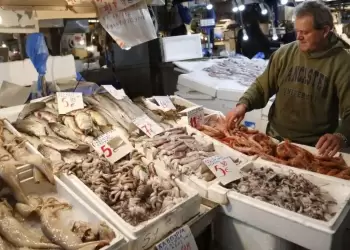 Καθαρά Δευτέρα: Πώς θα καταναλώσετε θαλασσινά και οστρακοειδή με ασφάλεια – Οδηγίες του ΕΟΔΥ