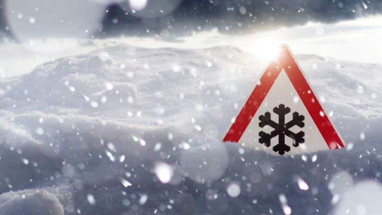 Κακοκαιρία Μπάρμπαρα: Η εφαρμογή frost.minagric.gr ασπίδα προστασίας από τον παγετό