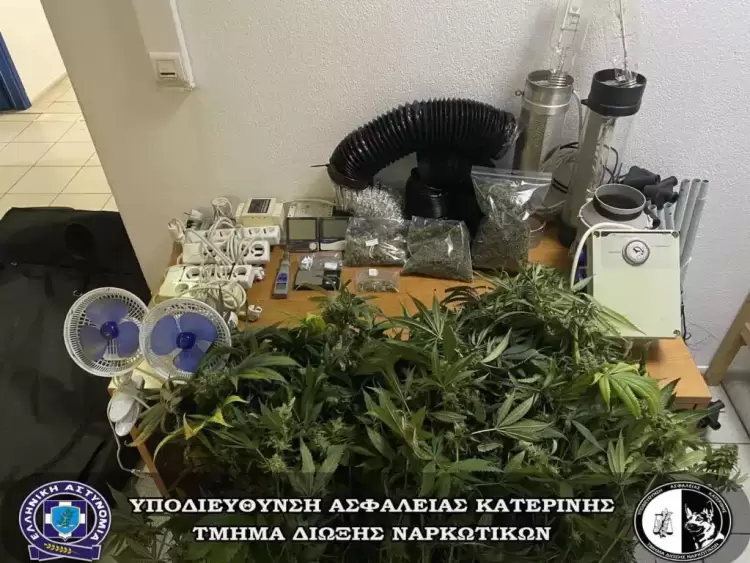 Κατερίνη: Είχε θερμοκήπιο κάνναβης στο σπίτι (φώτο)