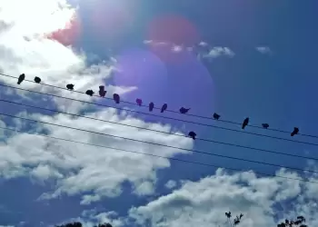 Ο Καιρός σήμερα: Γενικά αίθριος με λίγες νεφώσεις για σήμερα Κυριακή