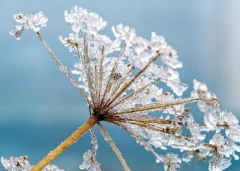 Ο Καιρός σήμερα: Λίγες νεφώσεις και ασθενείς χιονοπτώσεις στα ορεινά