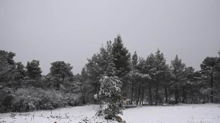 Ο Καιρός σήμερα: Παγετός, κρύο με λίγες τοπικές νεφώσεις