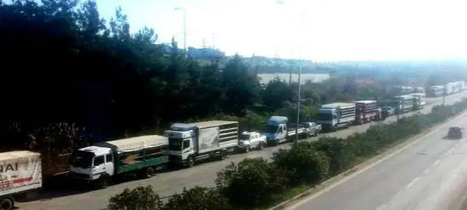 Ο Μελισσοκομικός Σύλλογος Πιερίας θα πραγματοποιήσει μηχανοκίνητη πορεία διεκδικώντας άμεση στήριξη του κλάδου Ο Μελισσοκομικός Σύλλογος Πιερίας θα πραγματοποιήσει μηχανοκίνητη πορεία διεκδικώντας άμεση στήριξη του κλάδου