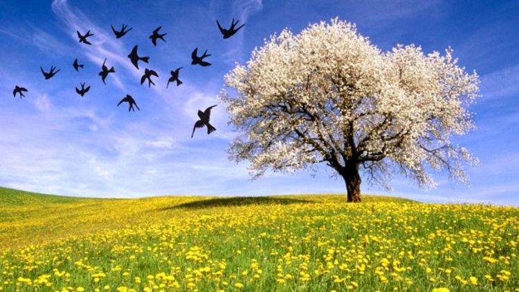 Ο Φλεβάρης κι αν φλεβίσει καλοκαίρι θα μυρίσει