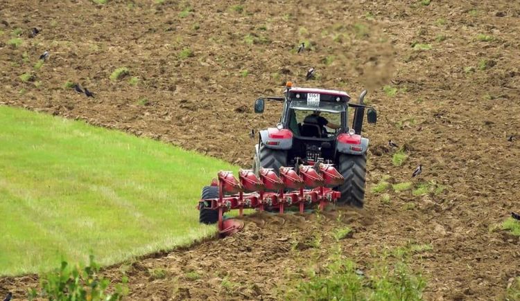 Πρόσληψη εποχικού προσωπικού στο ΓΟΕΒ Πεδιάδων Θεσσαλονίκης – Λαγκαδά