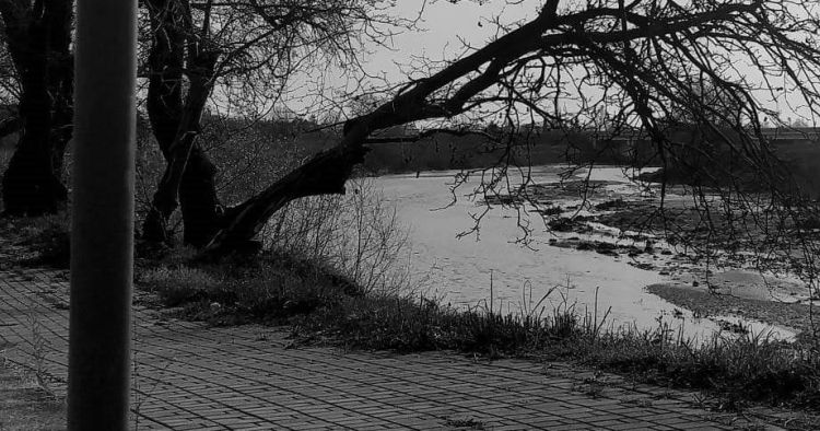 Σύλλογος Πρωτοβουλία για τον Πέλεκα - Πρόσκληση για την Πρωτοχρονιάτικη πίτα Σύλλογος Πρωτοβουλία για τον Πέλεκα – Πρόσκληση για την Πρωτοχρονιάτικη πίτα