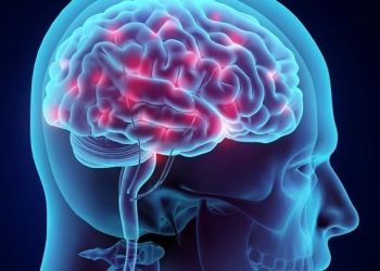 Τρόφιμα πλούσια σε σελήνιο μπορούν να χρησιμοποιηθούν κατά του Αλτσχάιμερ