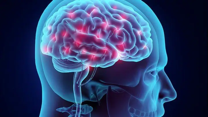 Τρόφιμα πλούσια σε σελήνιο μπορούν να χρησιμοποιηθούν κατά του Αλτσχάιμερ Τρόφιμα πλούσια σε σελήνιο μπορούν να χρησιμοποιηθούν κατά του Αλτσχάιμερ