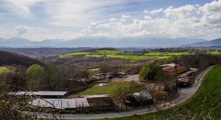 Φάρμα Φωτιάδη στην Εξοχή Πιερίας – Με ελιά μεγαλώνει ο μαύρος χοίρος στη σκιά του Ολύμπου