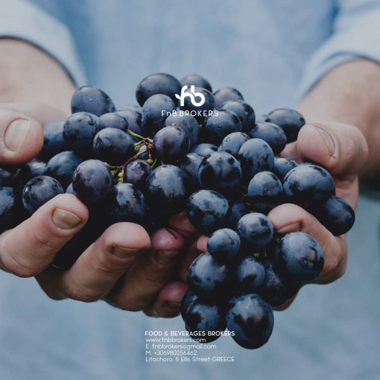 13 + 2 διακρίσεις για τα κρασιά της Fnb Brokers