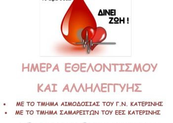 5ο ΓΕΛ ΚΑΤΕΡΙΝΗΣ