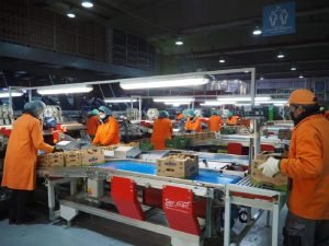 Δήμος Δίου Ολύμπου: Ξενάγηση δημοσιογράφων από Ελλάδα και εξωτερικό, στο πλαίσιο Press Trip 