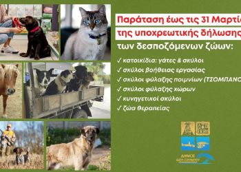 Δήμος Δίου Ολύμπου: Παρατείνεται έως την Παρασκευή 31 Μαρτίου 2023 η προθεσμία για την δήλωση των δεσποζόμενων ζώων