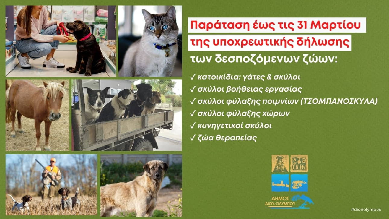 Δήμος Δίου Ολύμπου: Παρατείνεται έως την Παρασκευή 31 Μαρτίου 2023 η προθεσμία για την δήλωση των δεσποζόμενων ζώων