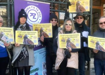 Διαμαρτυρία για την κακοποίηση του αετού Οδυσσέα από την ΠΑΕ ΑΕΚ!