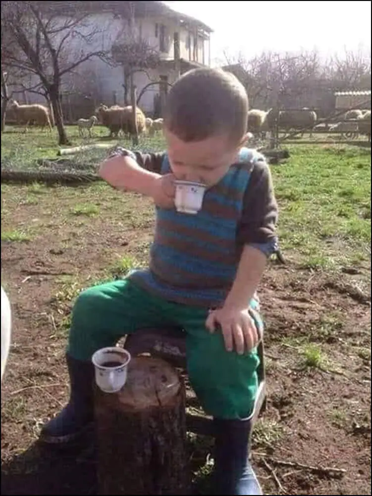 Οι μικροί κτηνοτρόφοι Οι μικροί κτηνοτρόφοι