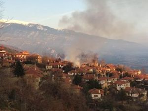 Πιερία: Στις φλόγες δύο σπίτια στον Παλαιό Παντελεήμονα - Ισχυρές δυνάμεις στο σημείο (εικόνες) Πιερία: Στις φλόγες δύο σπίτια στον Παλαιό Παντελεήμονα – Ισχυρές δυνάμεις στο σημείο