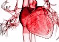 Σε Μάστιγα Έχει Εξελιχθεί Η Καρδιακή Ανεπάρκεια