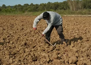 Τρίπολη: Δίνει τα χωράφια του τσάμπα και δεν βρίσκεται κανείς να τα καλλιεργήσει