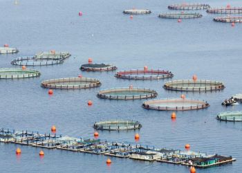 Υποβολή αιτήσεων αποζημίωσης για αποζημίωση των φορέων εκμετάλλευσης αλιείας και υδατοκαλλιέργειας