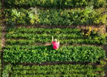Ακολουθούμε «ηθική διατροφή» και προστατεύουμε τον πλανήτη
