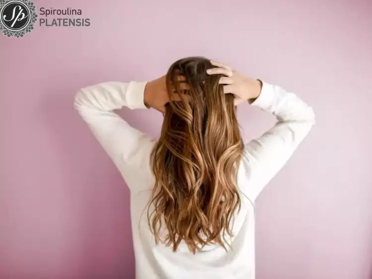 Αντιμετώπισε την τριχόπτωση με Spiroulina PLATENSIS! Αντιμετώπισε την τριχόπτωση με Spiroulina Platensis!