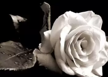 ΓΑΣ Σβορώνου – Συλλυπητήρια στην οικογένεια Κατσάρα