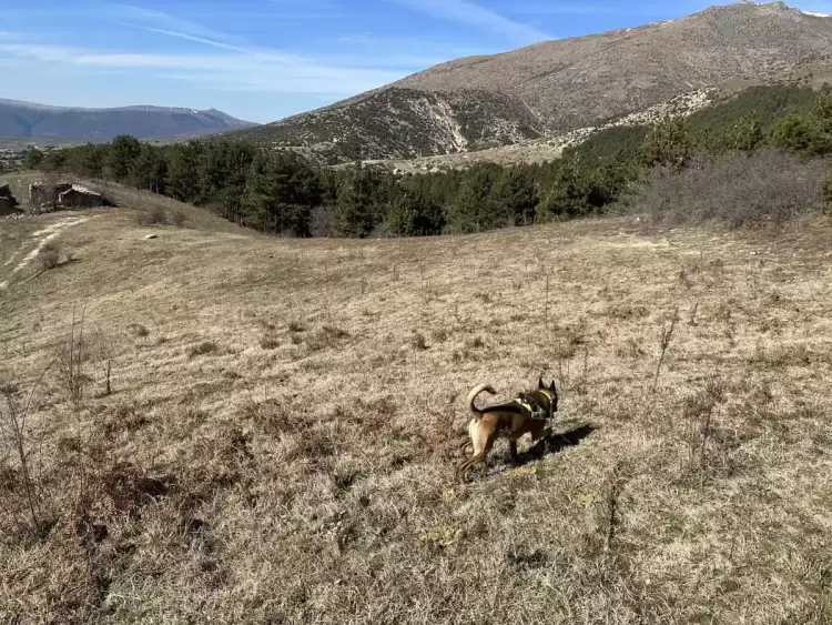 Δηλητηριασμένα δολώματα στο Όλυμπο