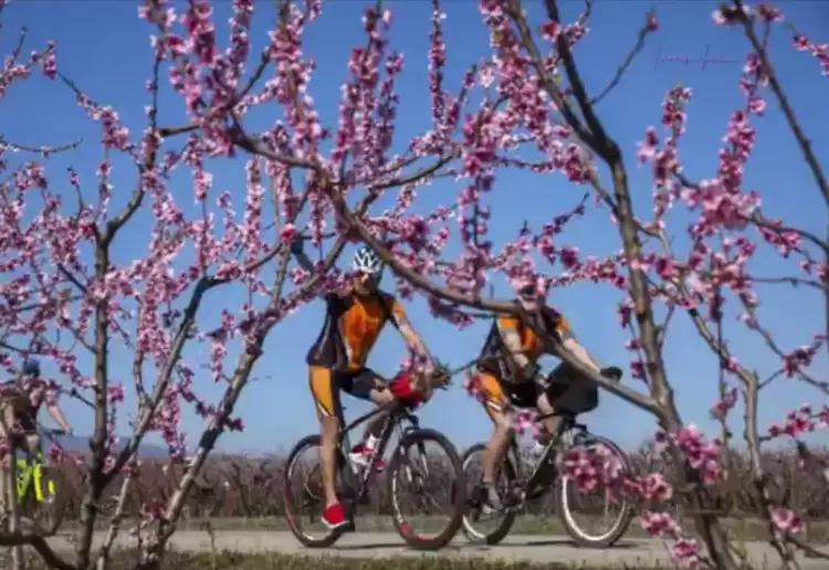 ΟΙ ΕΛ.Π.ΠΙ. στις «Ανθισμένες Ροδακινιές» της Βέροιας 2023