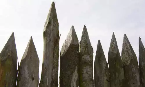 Παλουκοκαύτης Παλουκοκαύτης