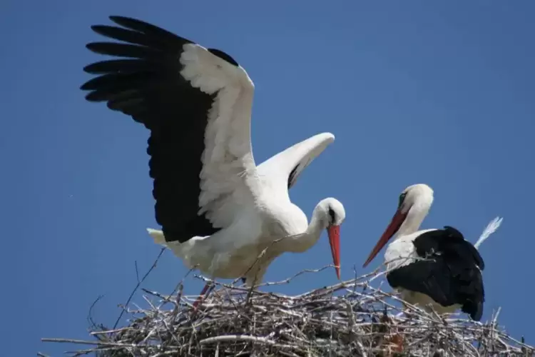 Φέτος ήλθαν νωρίτερα