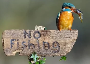 Απαγόρευση αλιείας στους ποταμούς, παραποτάμους, χειμάρρους για το έτος 2023