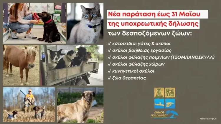 Δήμος Δίου Ολύμπου: Νέα παράταση, έως 31 Μαΐου 2023, η προθεσμία για την δήλωση των δεσποζόμενων ζώων