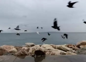 Ο Καιρός σήμερα για Κατερίνη και Πιερία: Συννεφιά και τοπικές βροχές