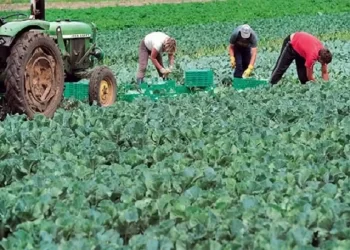 Αγρότες: «Καμπανάκι» για τους εργάτες γης – Καθυστερήσεις στις μετακλήσεις