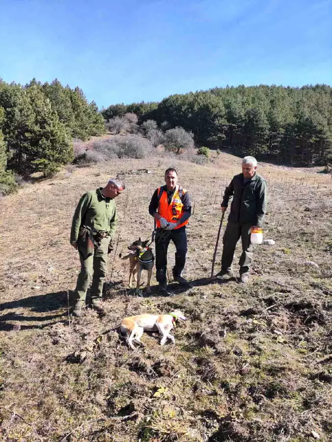 Δηλητηριασμένα δολώματα στο Όλυμπο Δηλητηριασμένα δολώματα στο Όλυμπο