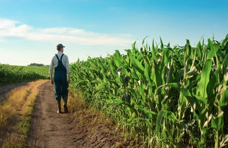 Μητρώο αγροτών – Τα δικαιολογητικά για την χορήγηση βεβαιώσεων