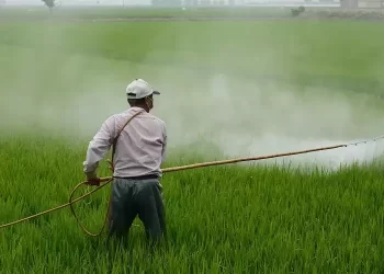 Νέα Μέσα Στους Αγρότες – Πως Θα Μειωθεί Η Χρήση Χημικών Φυτοφαρμάκων