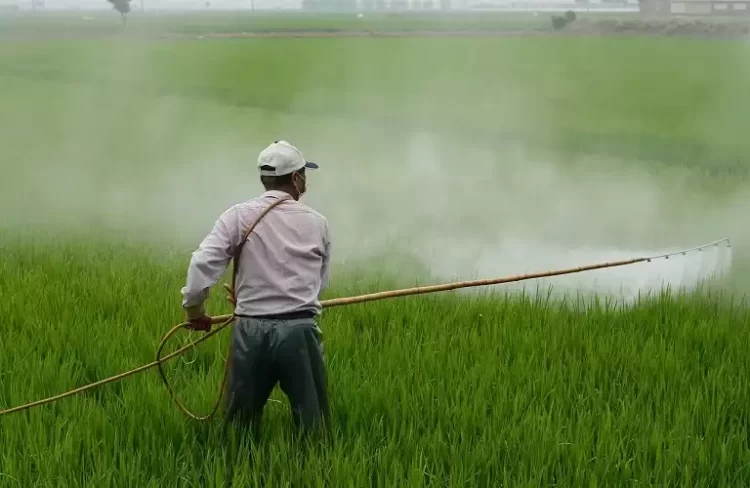 Νέα μέσα στους αγρότες – Πως θα μειωθεί η χρήση χημικών φυτοφαρμάκων