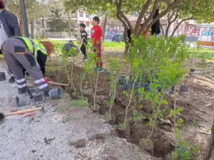 Δήμος Κατερίνης: Φύτευση δέντρων από εθελοντές στο Πάρκο των Ευαγγελικών