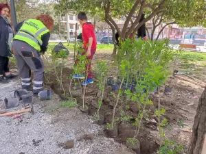 Δήμος Κατερίνης: Φύτευση δέντρων από εθελοντές στο Πάρκο των Ευαγγελικών